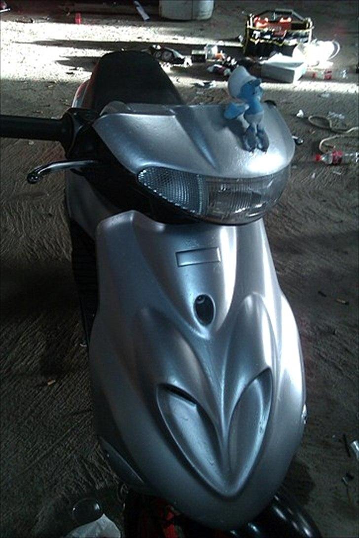 Adly Silverfox billede 4