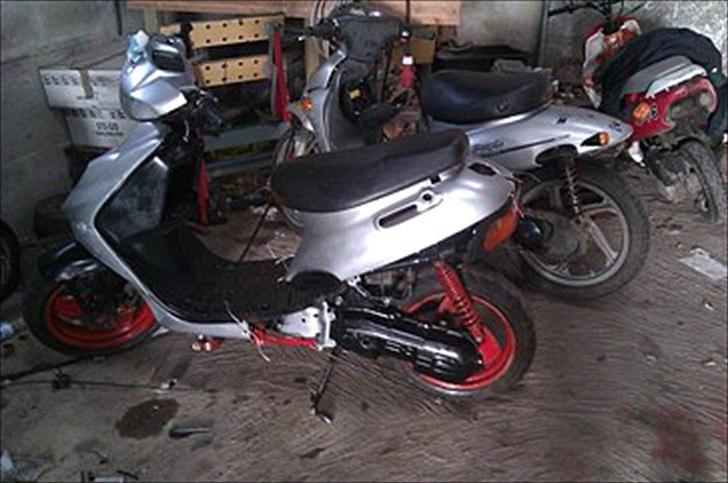 Adly Silverfox billede 5