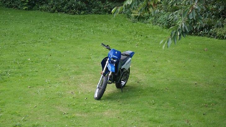 Suzuki smx  billede 3