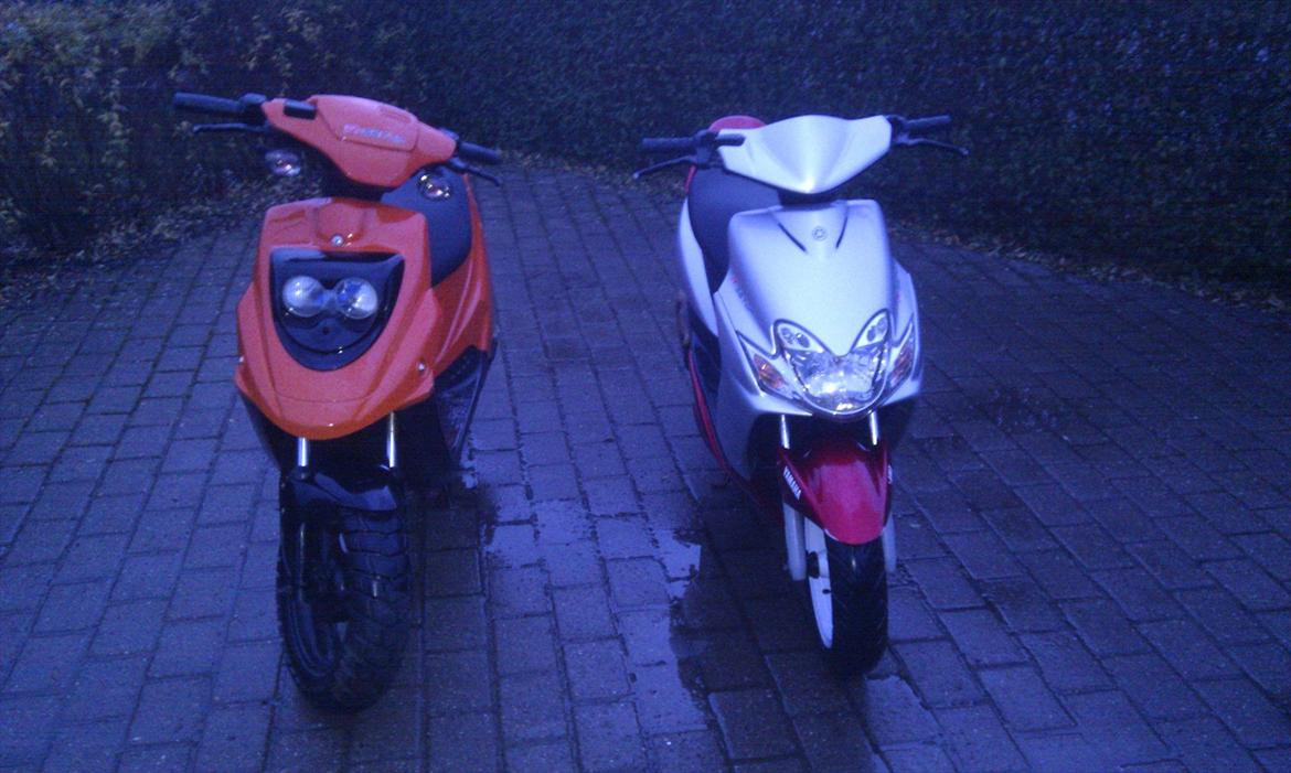 PGO Hot 50 billede 6