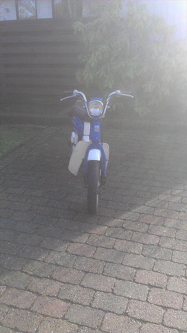 Suzuki fz  billede 1