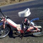 Puch maxi
