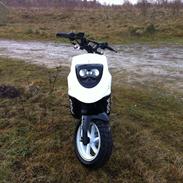 PGO HOT 50 NAKED *zu verkaufen(oversæt fra tysk)*