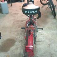 Puch Maxi k :') (Fie)