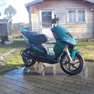 Piaggio nrg power dt