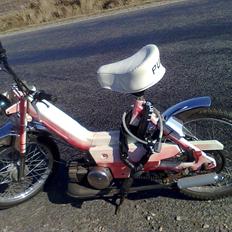 Puch maxi