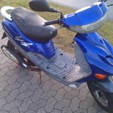 Adly Silverfox *SOLGT*