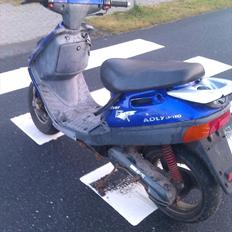 Adly Silverfox *SOLGT*