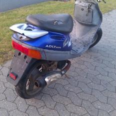 Adly Silverfox *SOLGT*