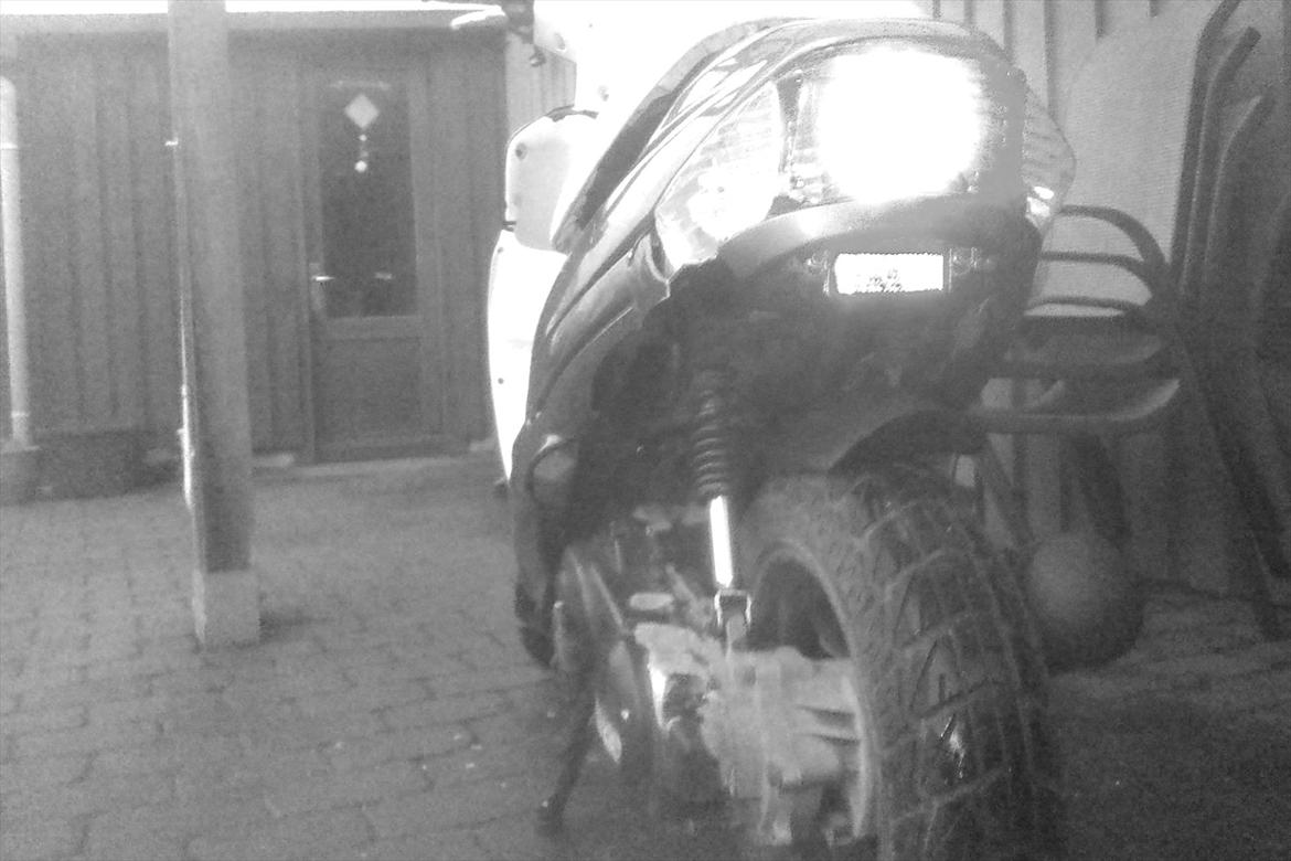 Giantco Sprint - SOLGT - Bag Sort/Hvid billede 6