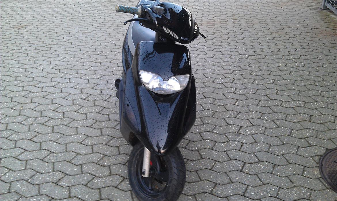 Honda Sfx billede 2