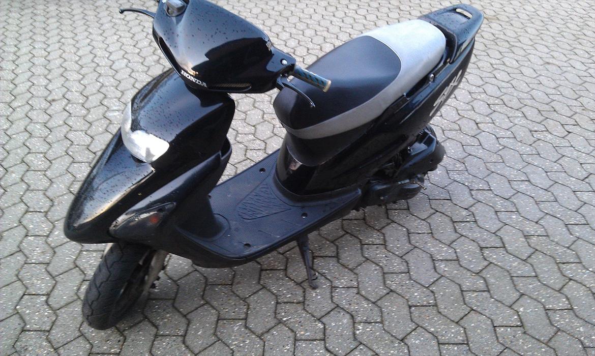 Honda Sfx billede 3