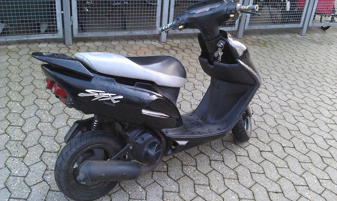 Honda Sfx billede 7