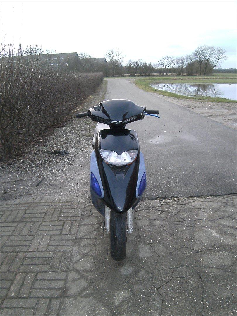 Honda Sfx Repsol billede 1