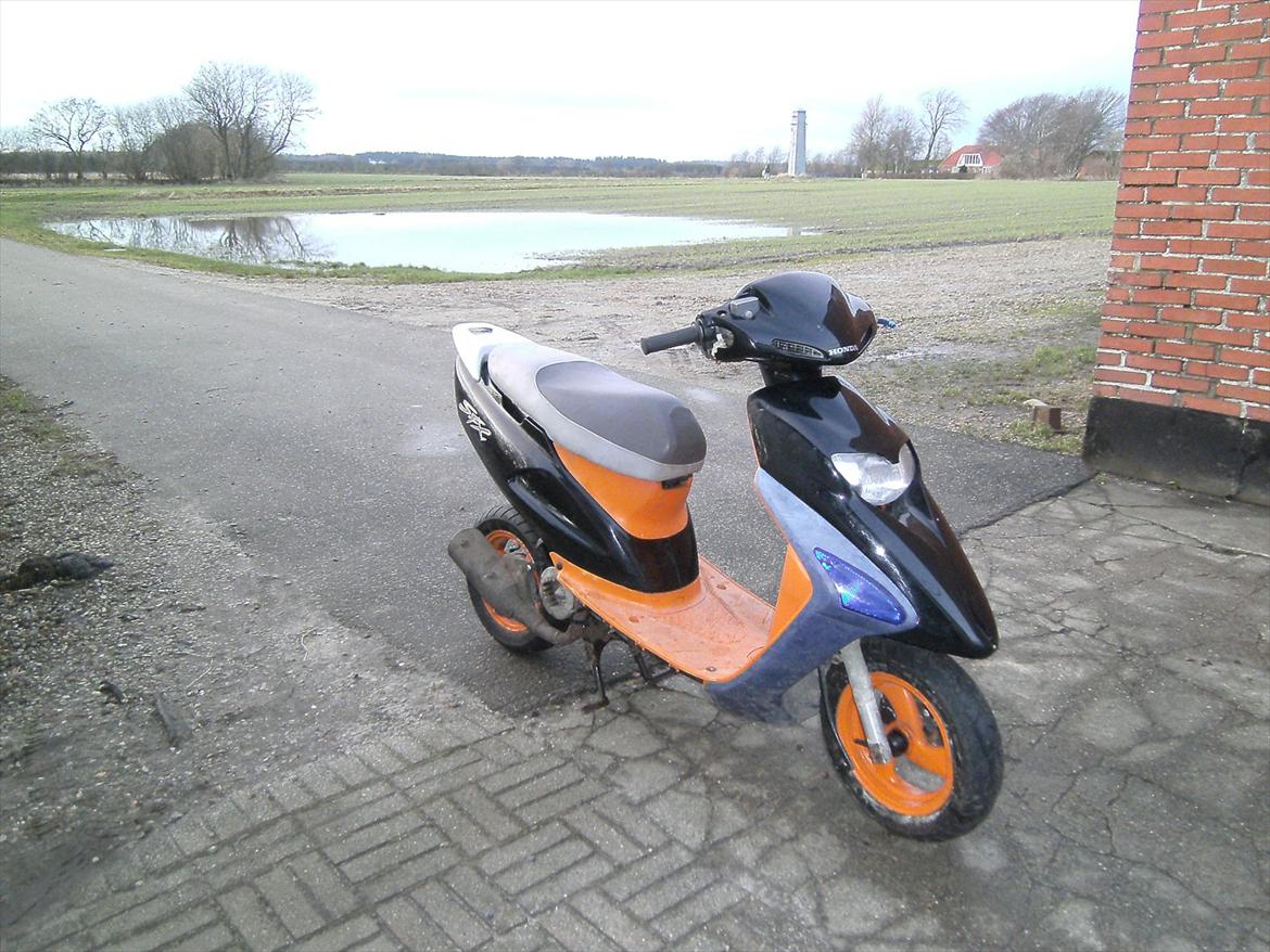Honda Sfx Repsol billede 4