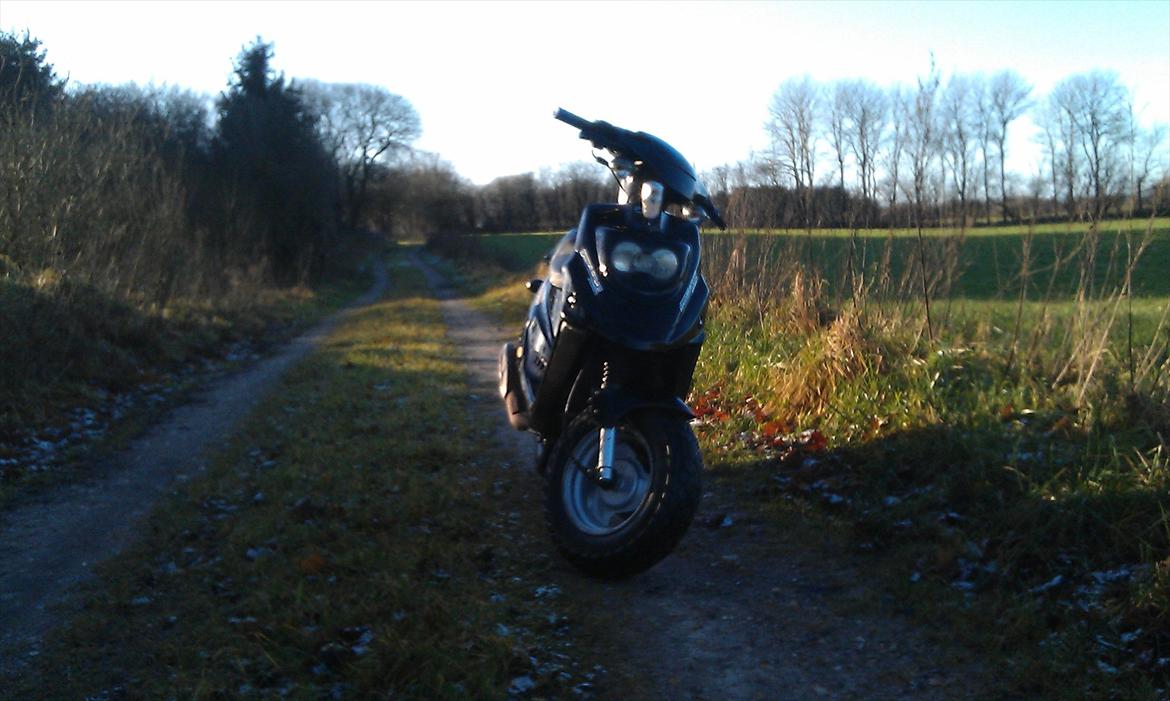 PGO Hot 50  billede 4