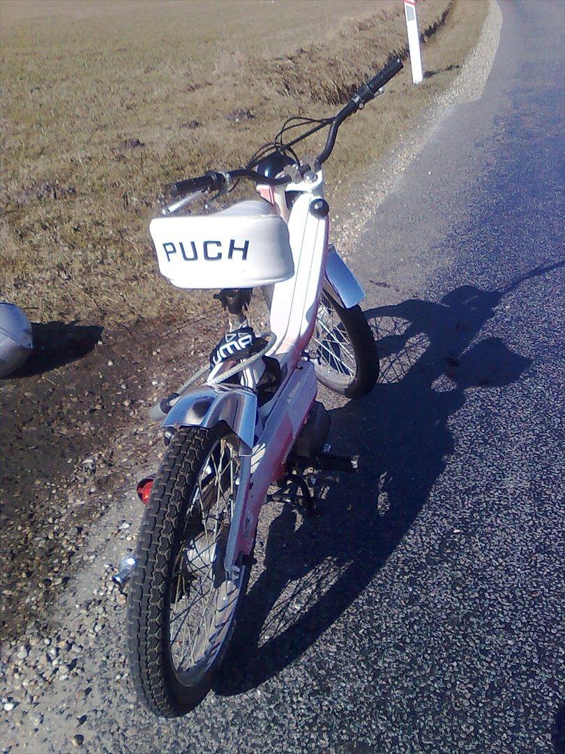 Puch maxi billede 4