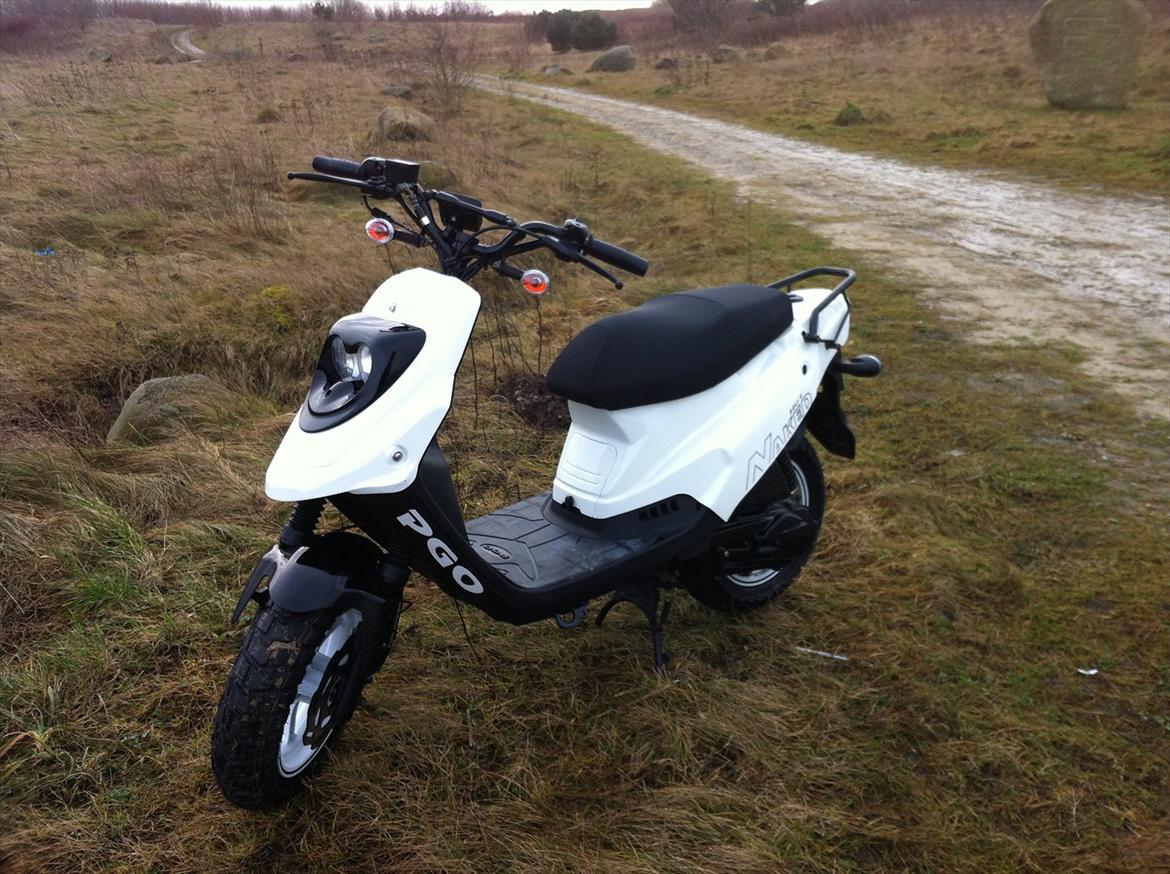 PGO HOT 50 NAKED *zu verkaufen(oversæt fra tysk)* billede 1