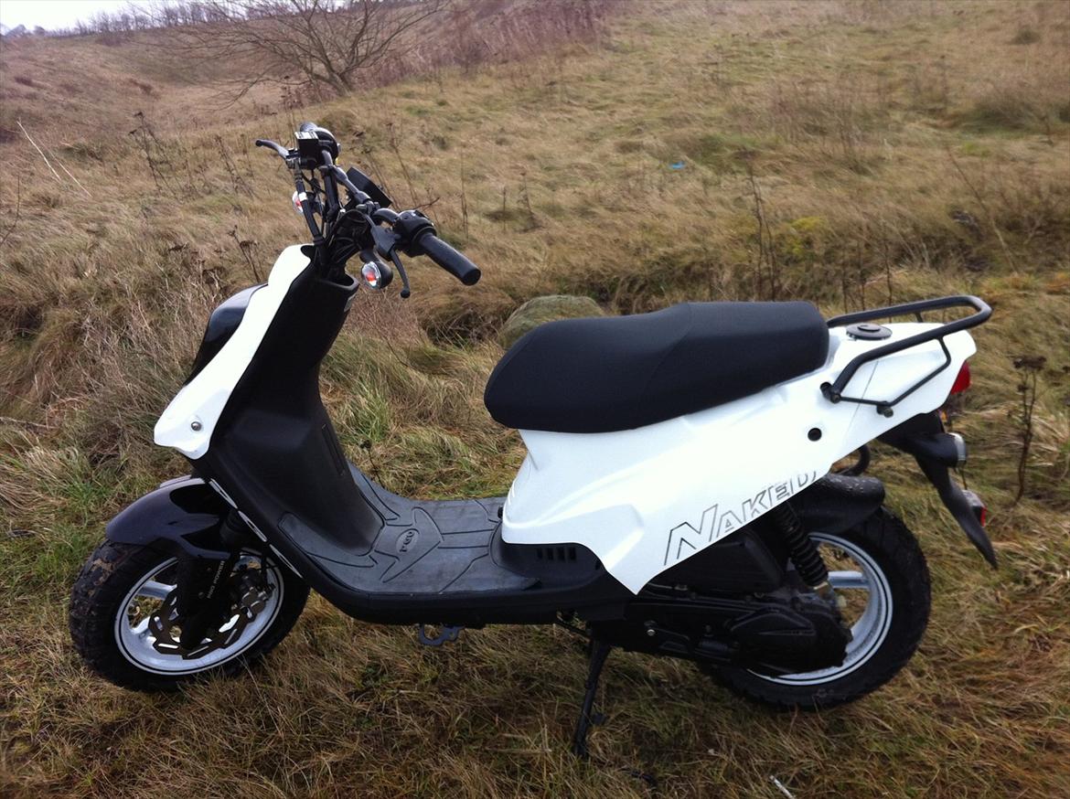 PGO HOT 50 NAKED *zu verkaufen(oversæt fra tysk)* billede 2