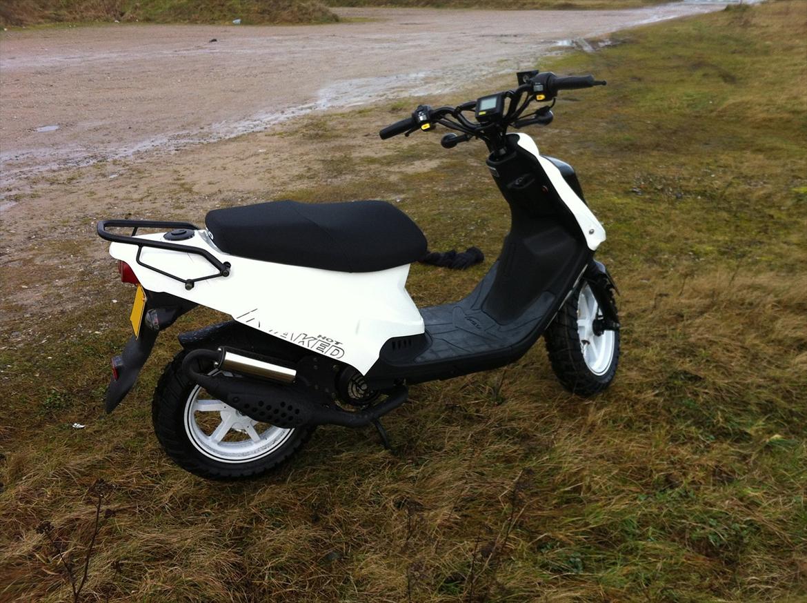 PGO HOT 50 NAKED *zu verkaufen(oversæt fra tysk)* - Lyset falder forkert og derfor kan man ikke se hele skriften på siden :) billede 3