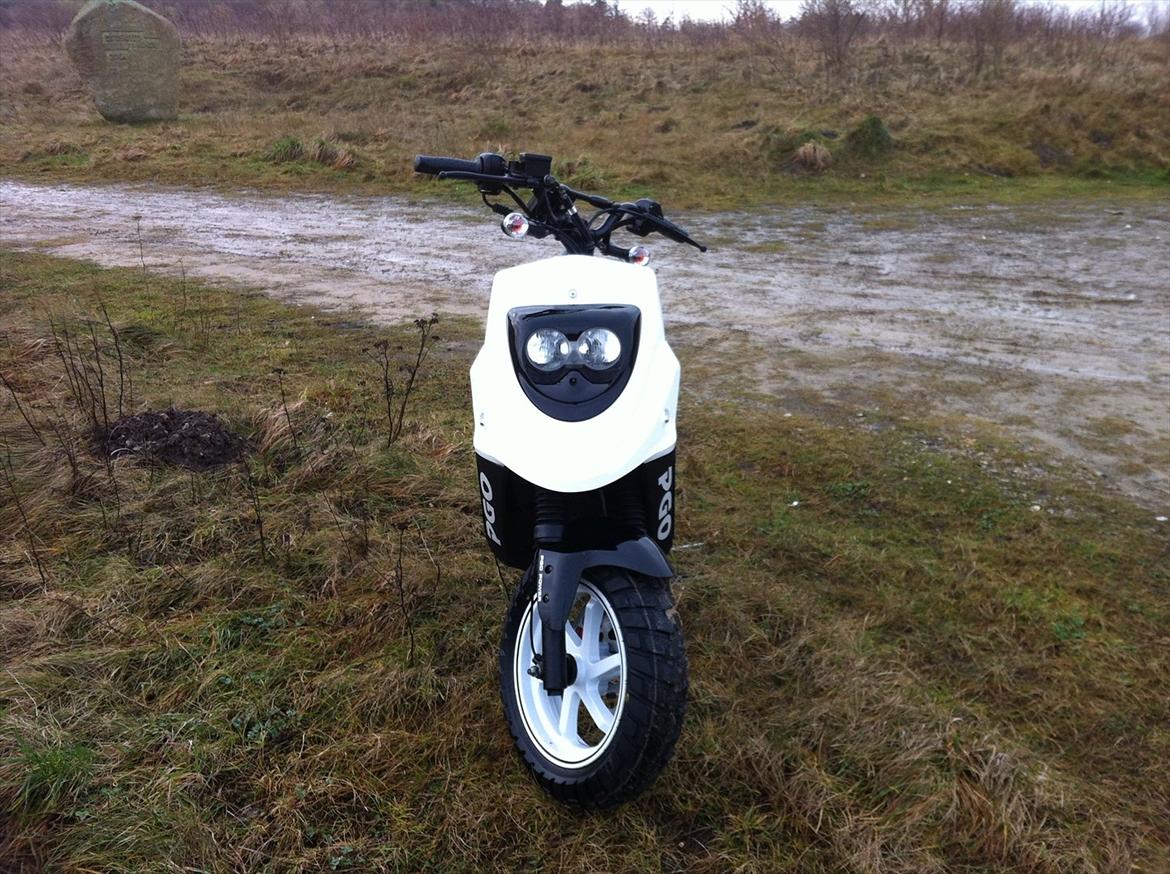 PGO HOT 50 NAKED *zu verkaufen(oversæt fra tysk)* billede 4