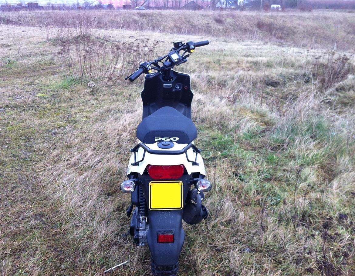 PGO HOT 50 NAKED *zu verkaufen(oversæt fra tysk)* billede 5