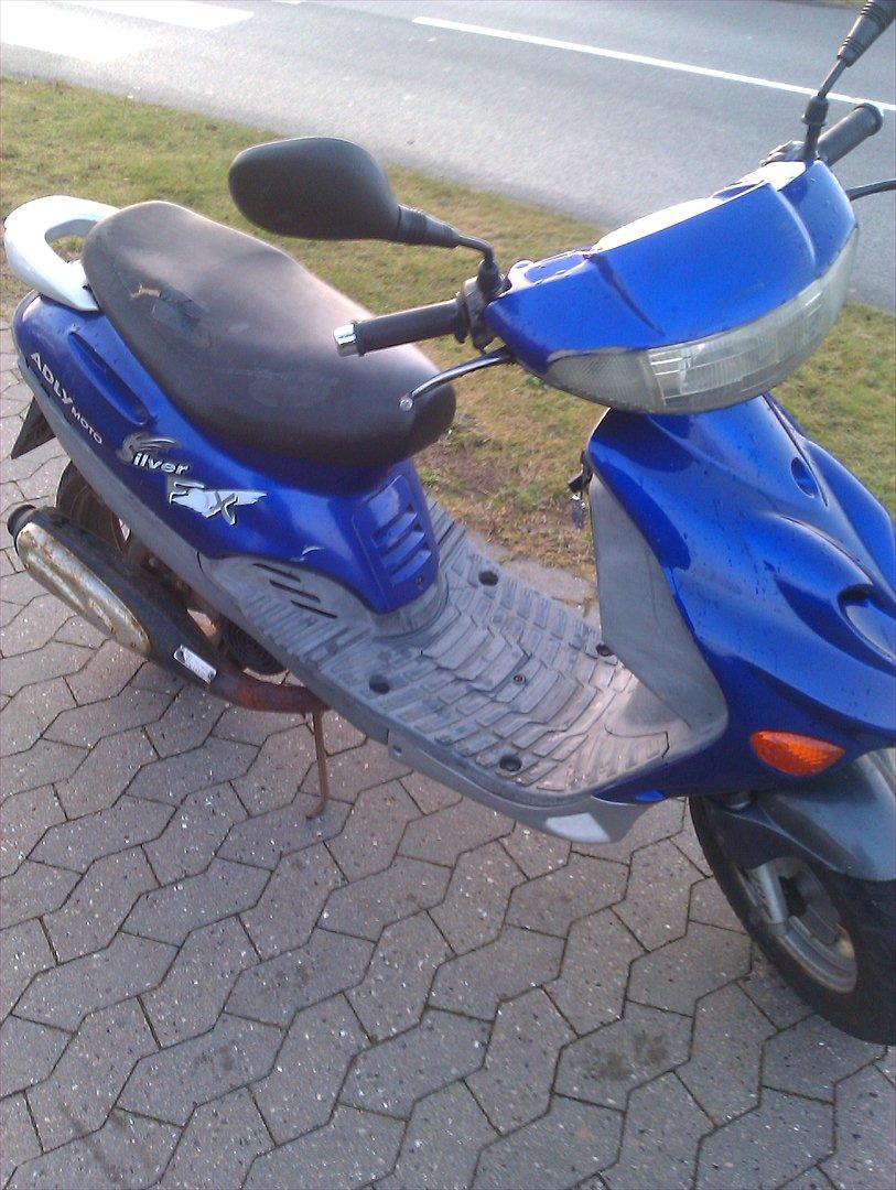 Adly Silverfox *SOLGT* billede 1