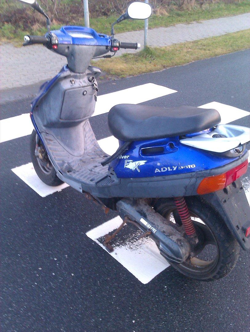 Adly Silverfox *SOLGT* billede 2