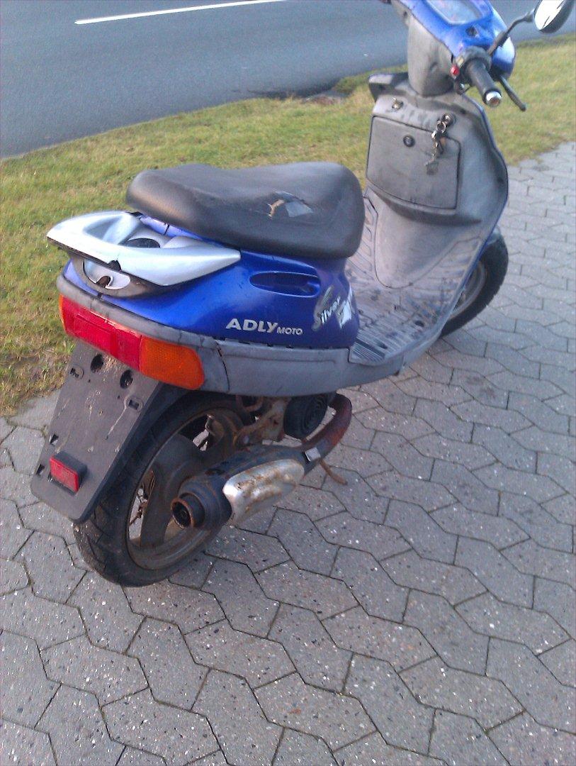 Adly Silverfox *SOLGT* billede 3