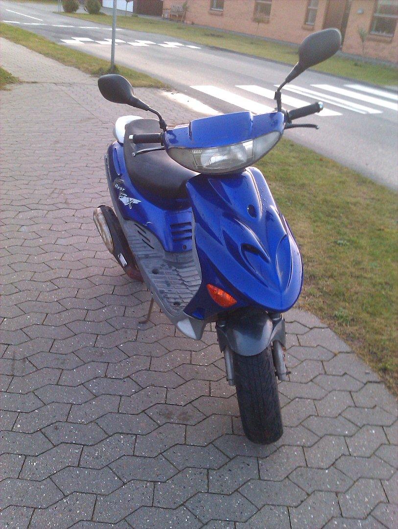 Adly Silverfox *SOLGT* billede 4