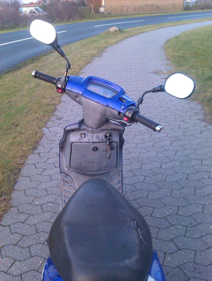 Adly Silverfox *SOLGT* billede 5