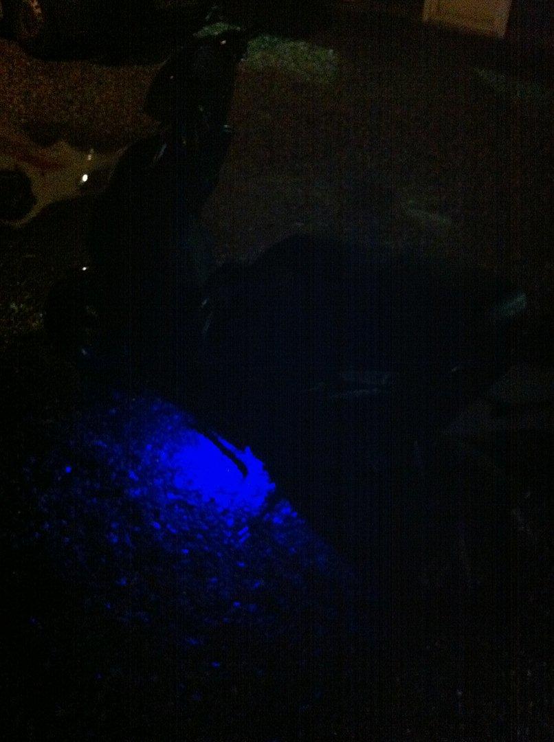 PGO Hot 50 billede 6