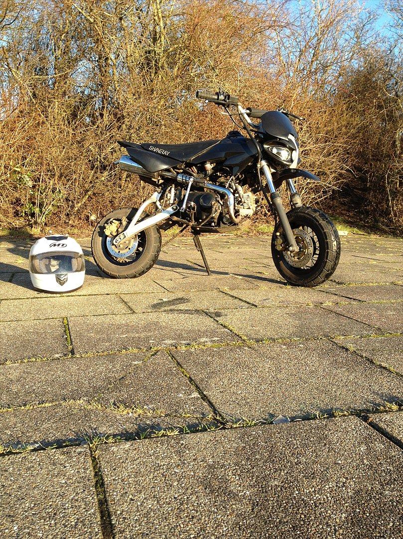 Shineray Topstar billede 1