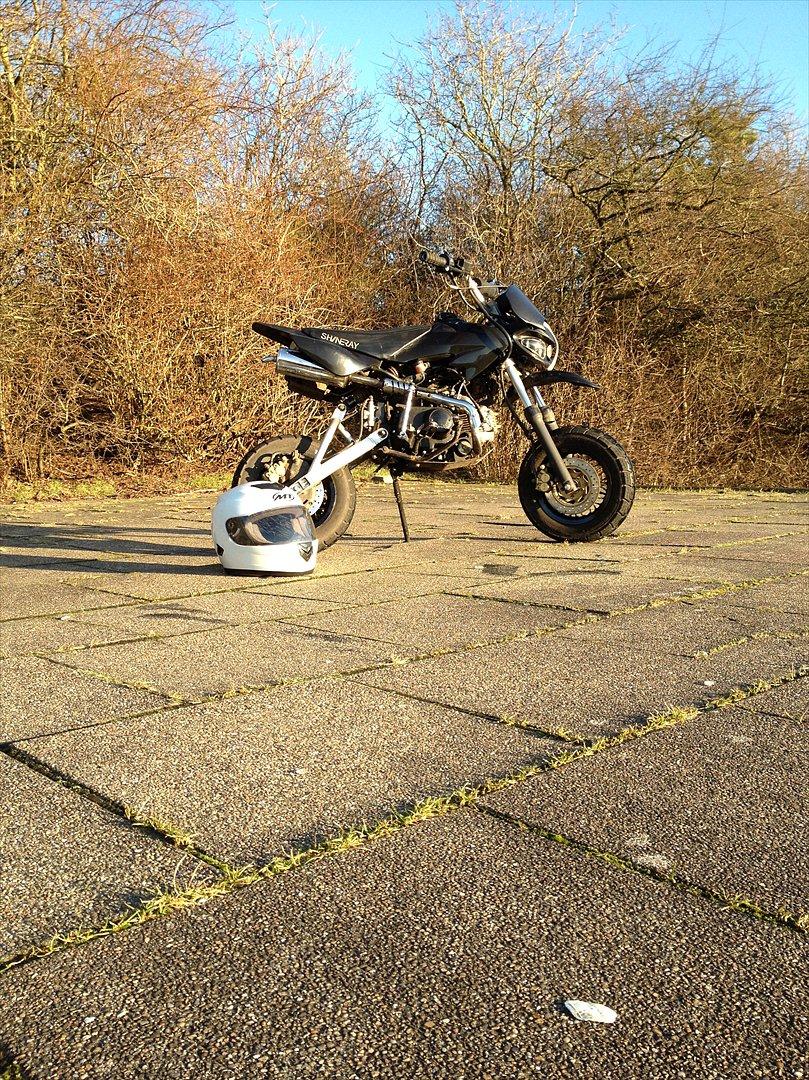 Shineray Topstar billede 2