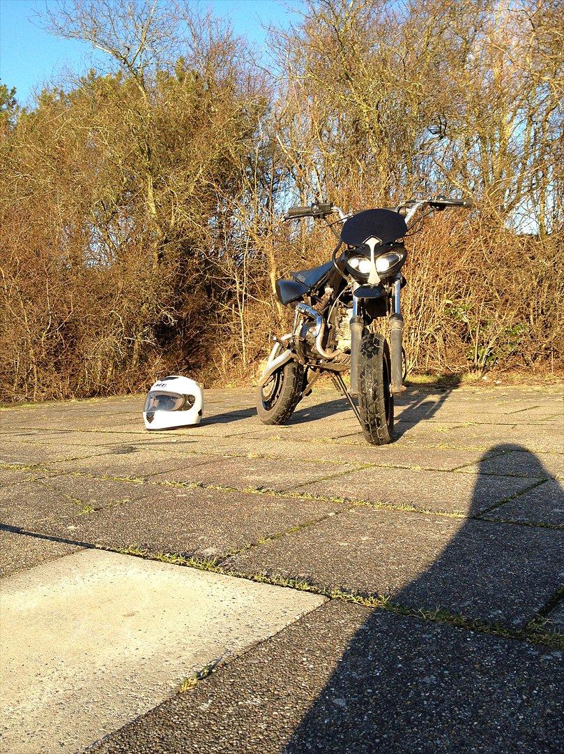 Shineray Topstar billede 3