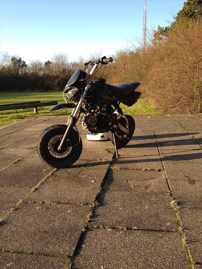 Shineray Topstar billede 4