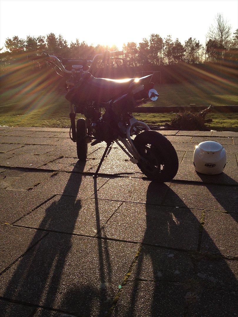 Shineray Topstar billede 6