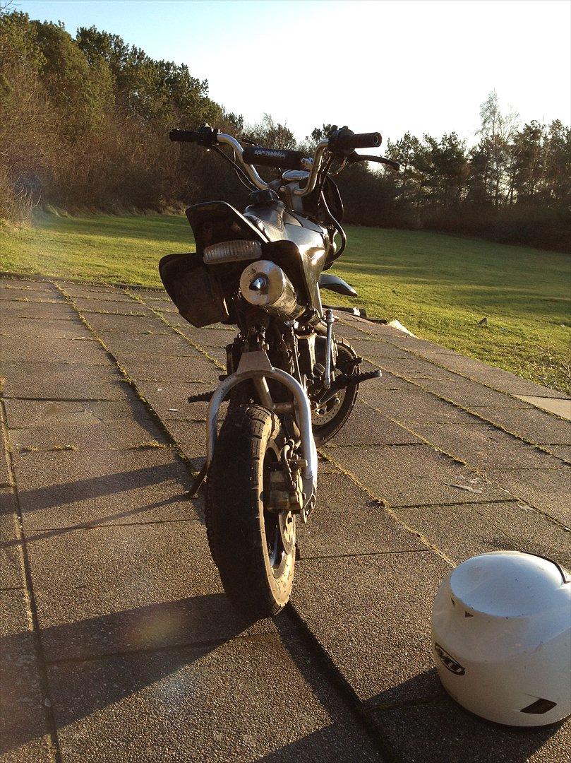 Shineray Topstar billede 8