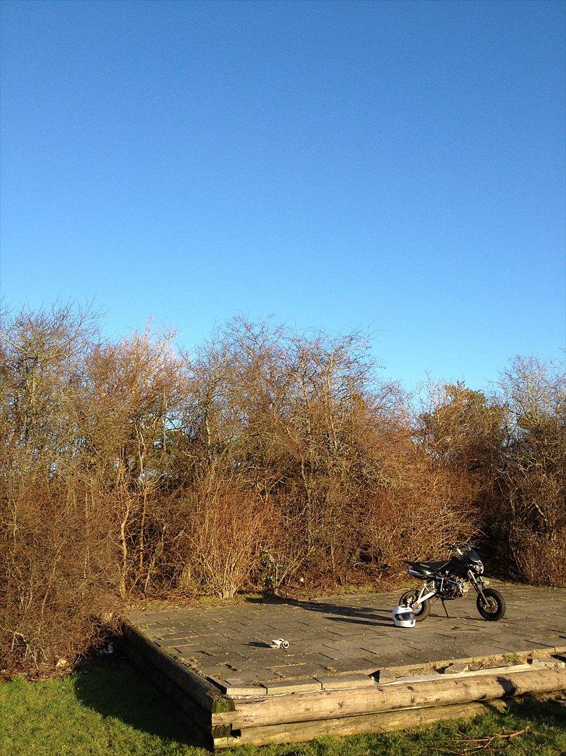 Shineray Topstar billede 13