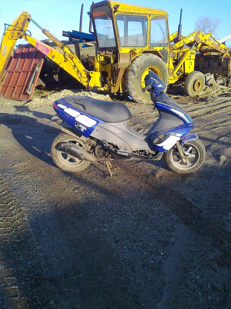 Benelli 491 billede 6