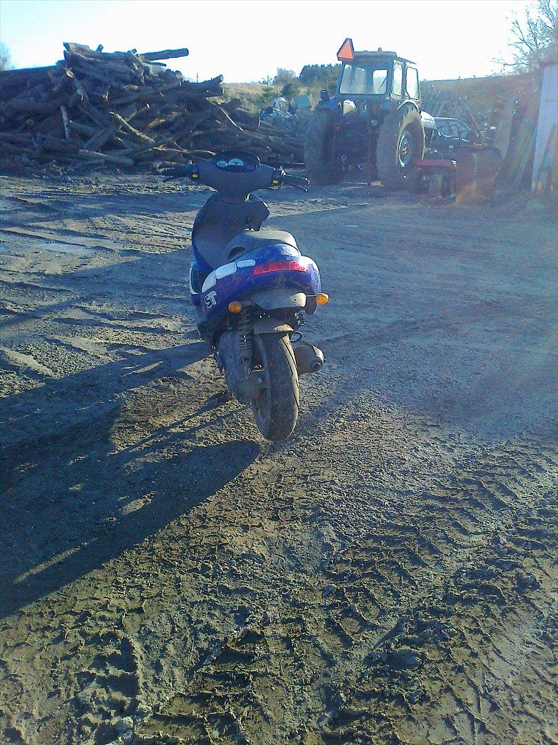 Benelli 491 billede 8