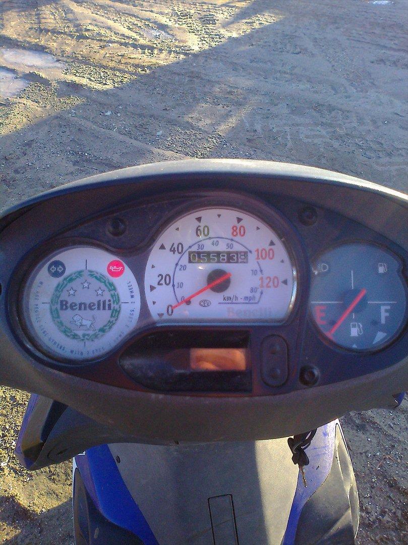 Benelli 491 billede 12