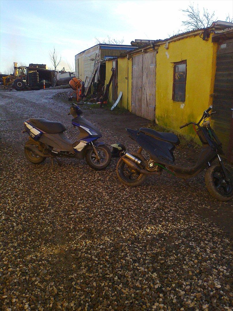 Benelli 491 billede 7