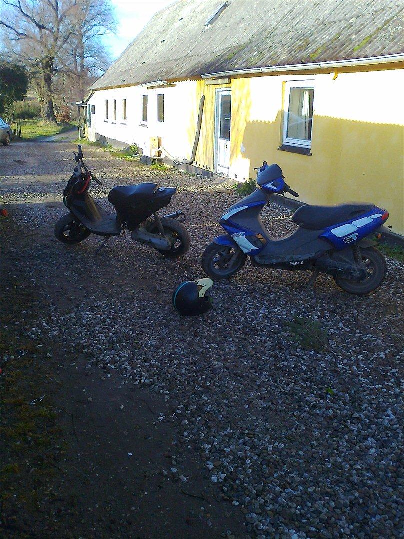 Benelli 491 billede 11