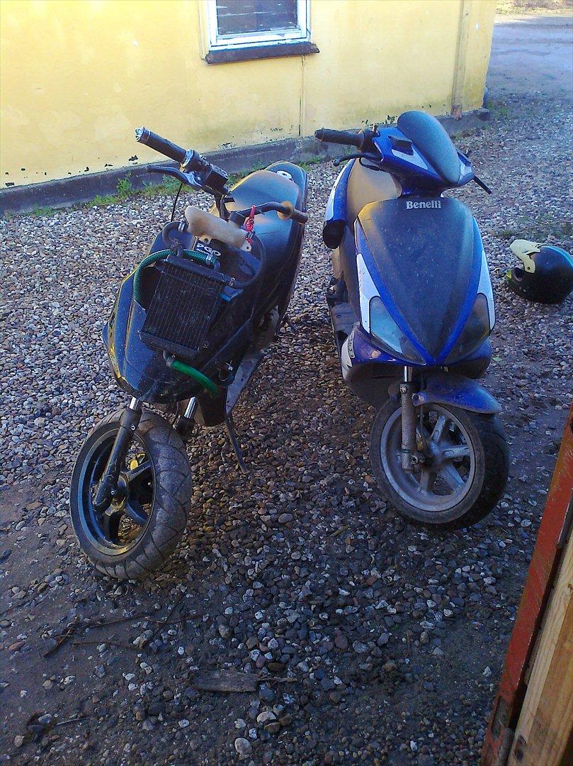 Benelli 491 billede 4