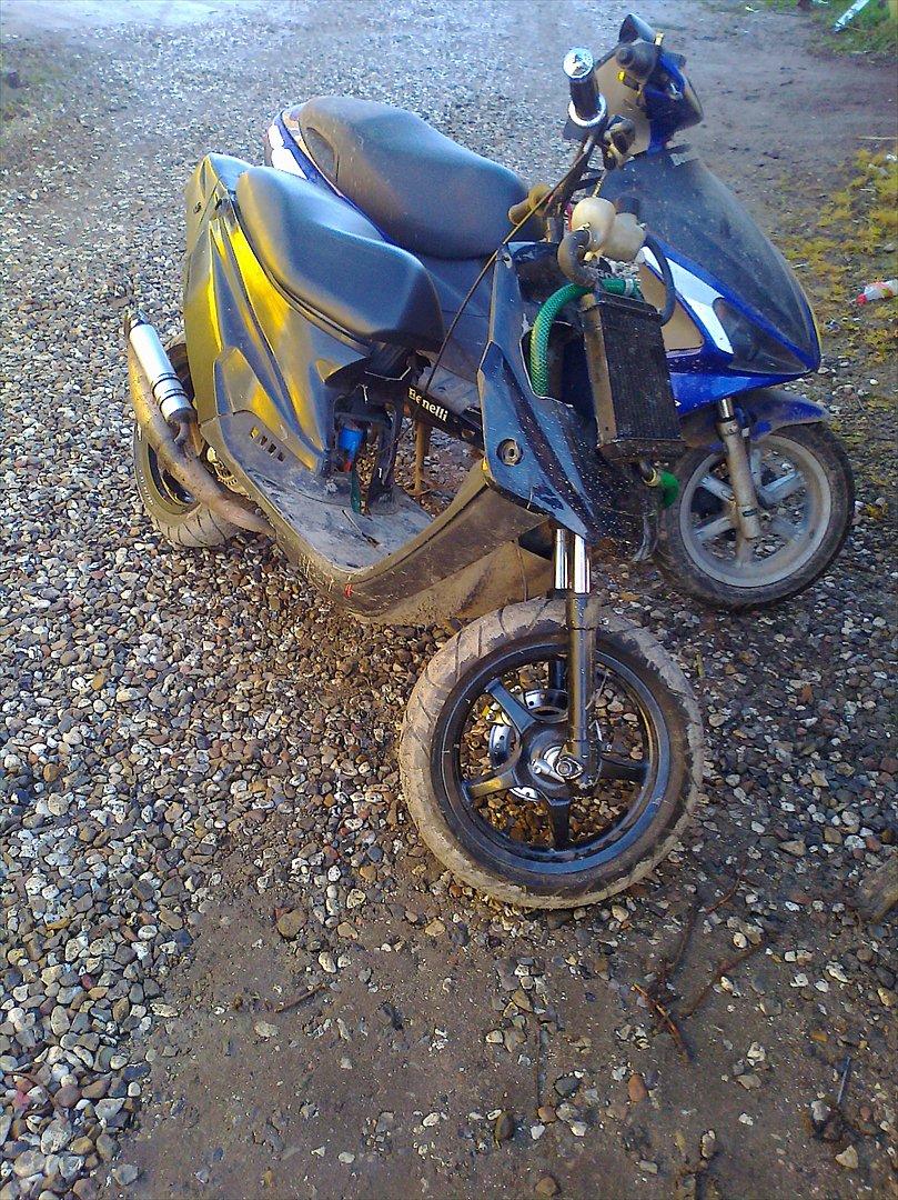 Benelli 491 billede 5