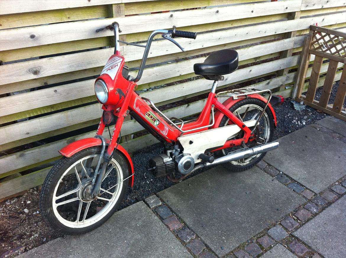 Puch maxi jubilæums model billede 1