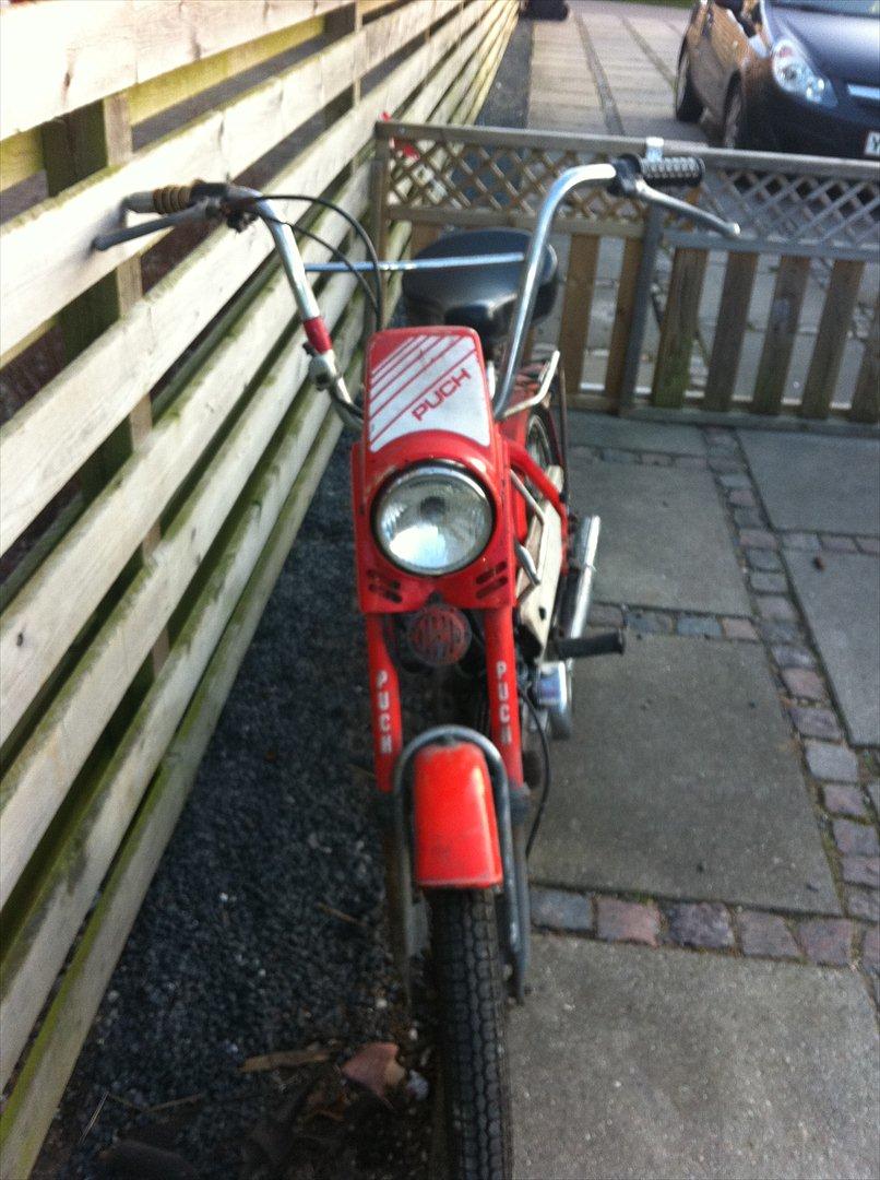 Puch maxi jubilæums model billede 2