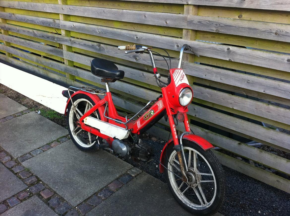 Puch maxi jubilæums model billede 4