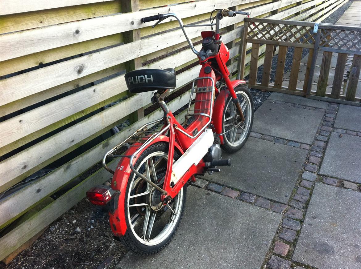 Puch maxi jubilæums model billede 5